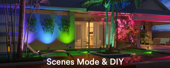 scene DIY